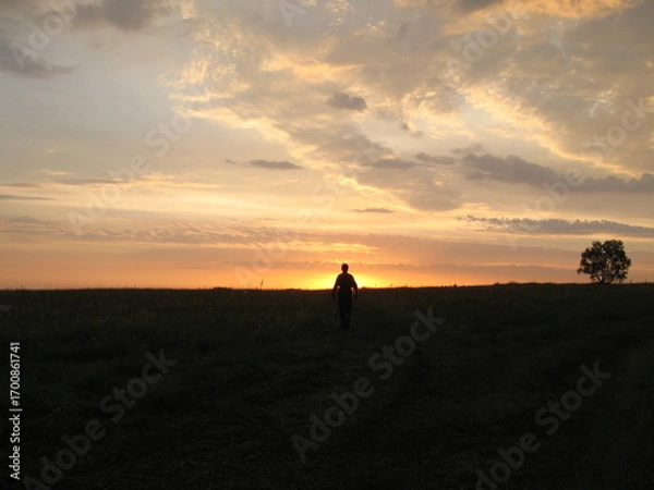Fototapeta Person walking alone in field during sunset with cloudy sky  