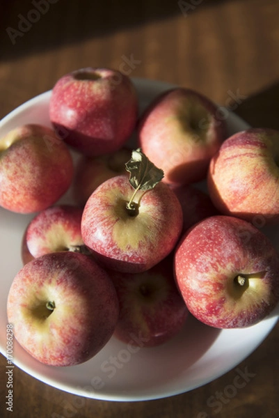 Fototapeta Red apples in a bowl are highlighted by the late afternoon sunshine.