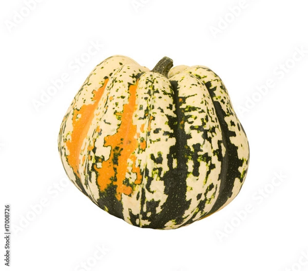 Obraz COLORFUL CARNIVAL SQUASH