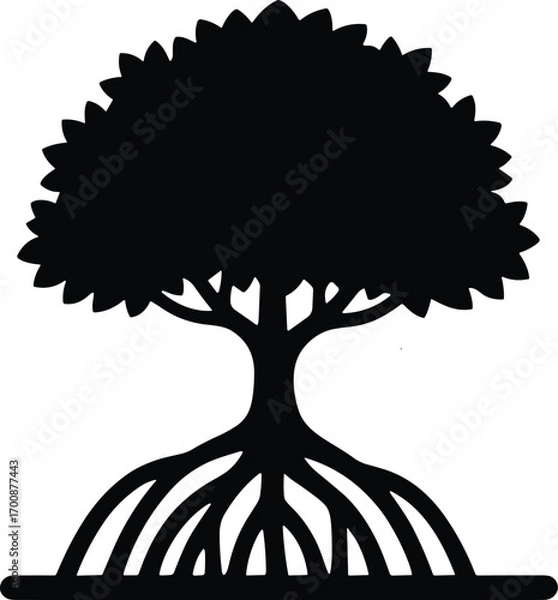 Fototapeta vector silhouette, mangrove tree with stilt roots, compact canopy, solid black