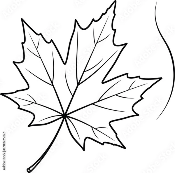 Fototapeta Simple black and white line art of a maple leaf.