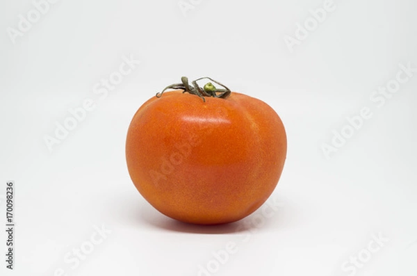 Obraz Tomato on white background