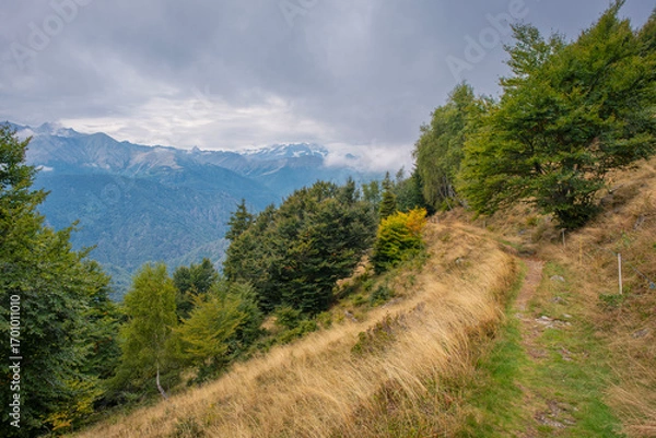 Fototapeta Panorama of the Rosa Massif (2nd highest mountain in Europe) taken from the foothpaths around Valdilana wilderness area (Biella Province, Piedmont, Northern Italy); is a winter ski and summer station.