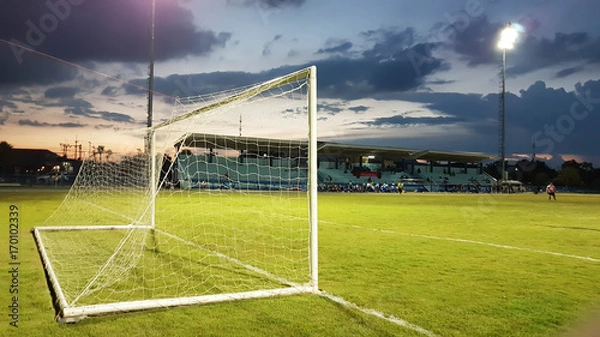 Fototapeta Football goal with the white mesh on a green lawn in the evening