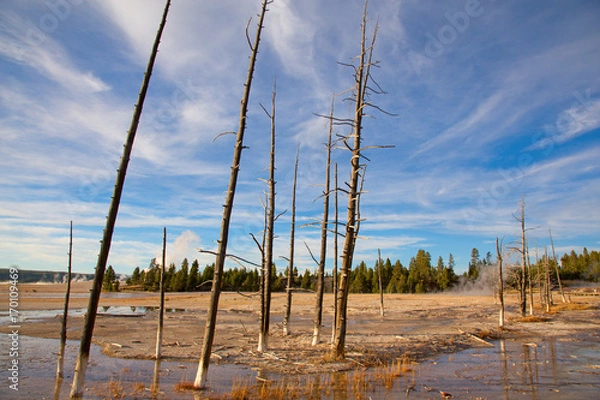 Obraz Lower geyser basin