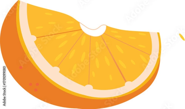 Obraz slice of orange fruit