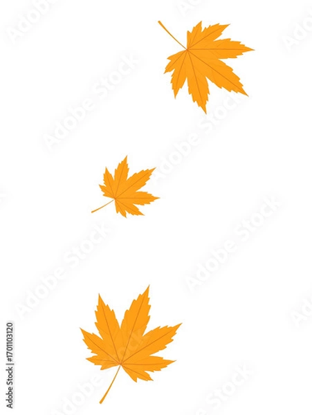 Obraz Three Floating Maple Leaves on a Dark Background