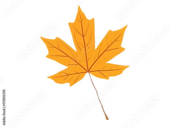 Obraz Single Yellow Maple Leaf Illustration