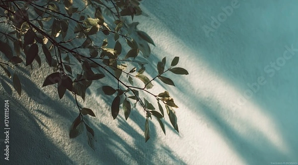 Fototapeta Light and shadow play on a teal wall with leaves