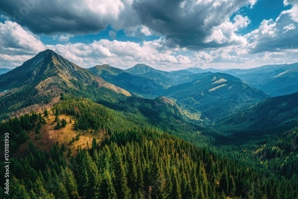 Obraz Panoramic mountain vista with lush forests