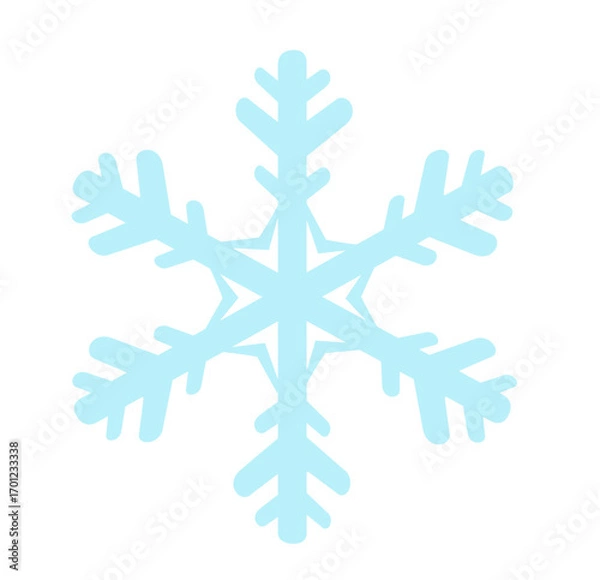 Fototapeta snowflake on white background