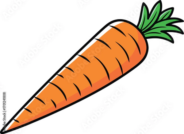 Fototapeta Single realistic carrot illustration design. Fresh orange carrot isolated artwork. Realistic vegetable carrot food design. Organic carrot healthy food illustration. Carrot vegetable farm fresh artwork