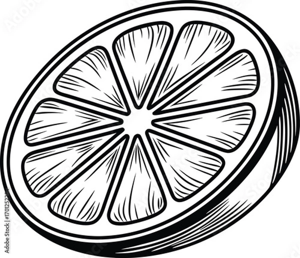 Fototapeta Single realistic lemon fruit illustration. Fresh yellow lemon isolated artwork. Realistic citrus lemon fruit design. Lemon fruit healthy food illustration. Organic lemon realistic fruit artwork Juicy