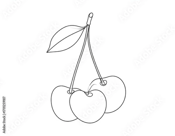 Fototapeta Two cherries with a leaf