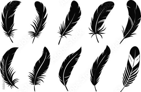 Fototapeta Elegant black feather silhouettes arranged on a white background for artistic design elements 
