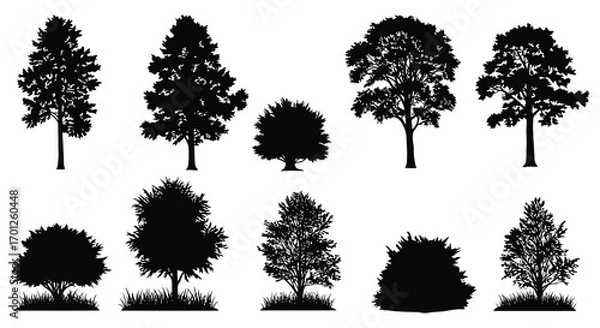 Fototapeta various tree silhouettes displayed in rows and columns
