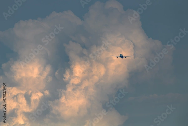 Obraz 飛行機　美しい 　光　雲　空　を背景に飛ぶ　航空機