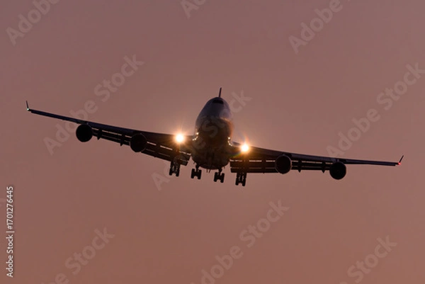 Obraz 飛行機　美しい 　光　雲　空　を背景に飛ぶ　航空機
