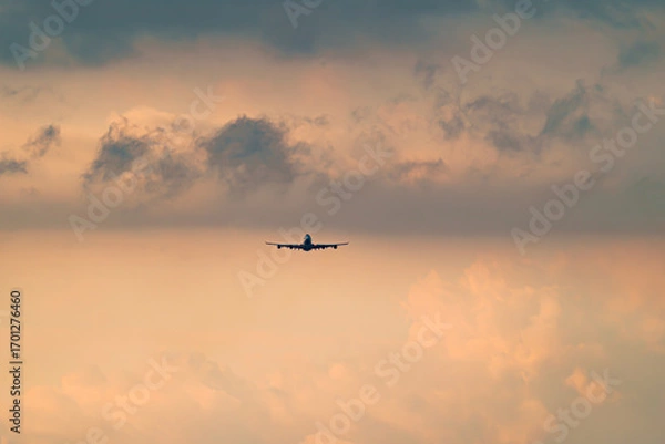 Obraz 飛行機　美しい 　光　雲　空　を背景に飛ぶ　航空機