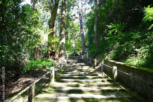 Fototapeta 医王山 油山寺参道