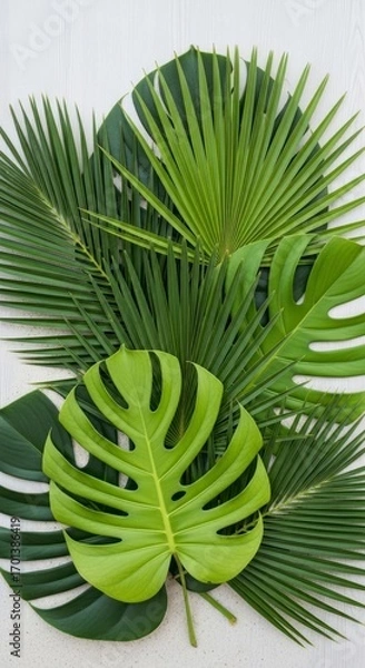 Obraz Assortment of Green Tropical Leaves on White Textured Background