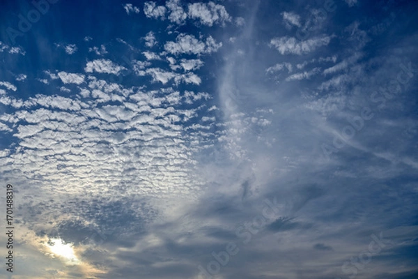 Fototapeta うろこ雲