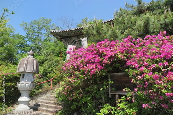 Fototapeta 丘陵の上の寺の風景2