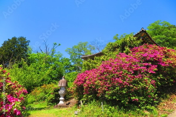 Fototapeta 丘陵の上の寺の風景1