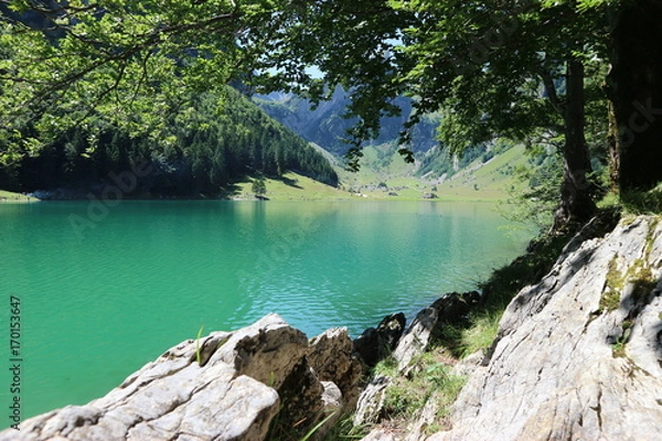 Obraz Seealpsee