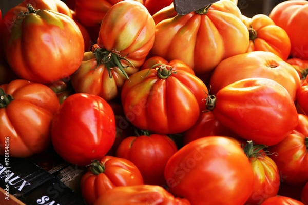 Obraz Fleischtomaten