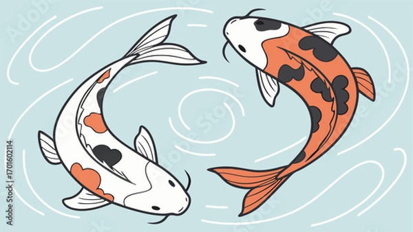 Fototapeta Two colorful japanese koi fish swimming in a circular pattern, symbolizing balance, harmony, and good fortune in water
