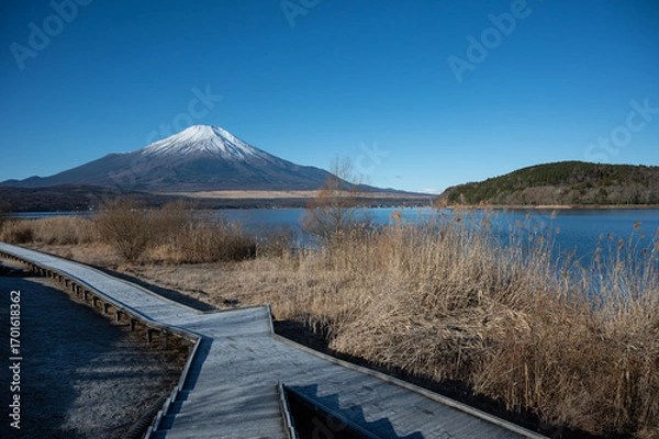 Obraz 山中湖から望む富士山