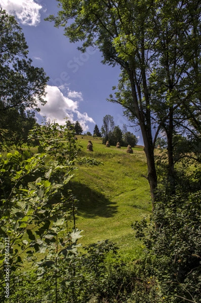 Fototapeta pola uprawne