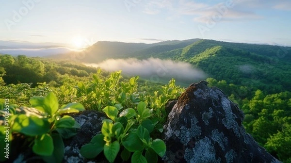 Obraz Sunrise over mountain landscape