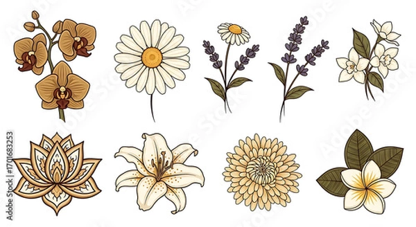 Fototapeta A collection of elegant, hand-drawn botanical flower illustrations in a warm, earthy color palette.