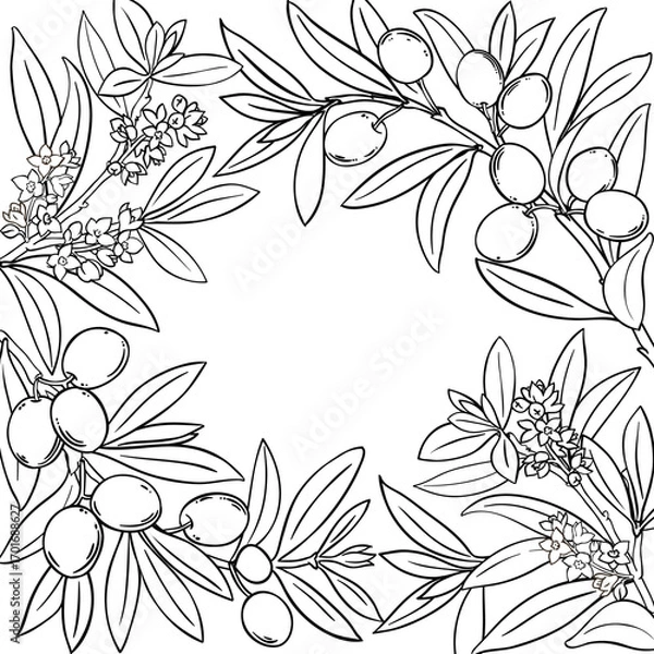 Fototapeta Olive Branch with Flowers, Berries and Leaves Outline Frame. Organic natural nutritional healthy food ingredient, vegetarian diet product. Vector isolated for design or decoration.