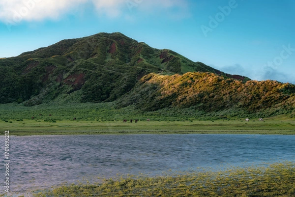 Fototapeta 日本の自然