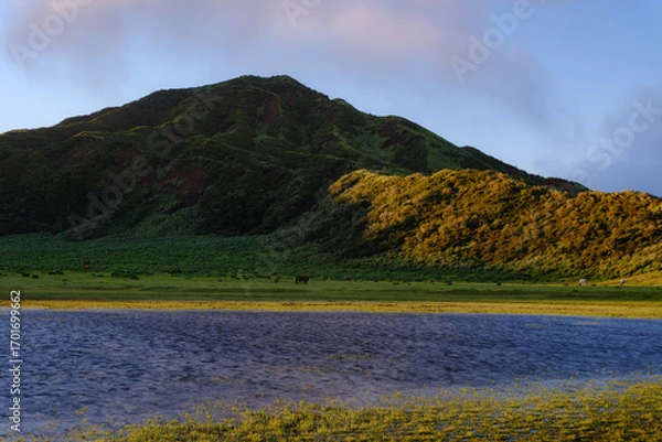 Fototapeta 日本の自然