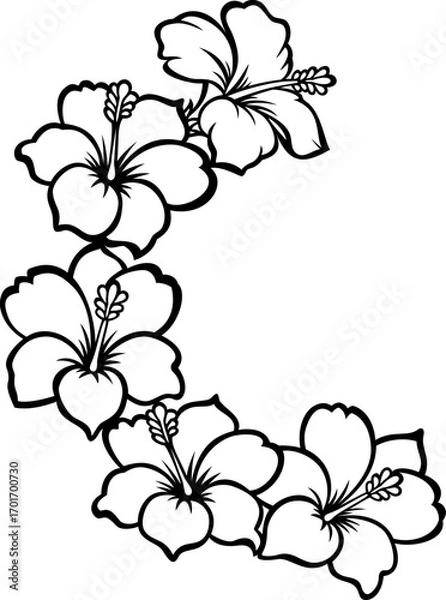 Obraz  Hibiscus flowers