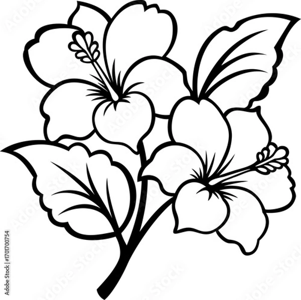 Obraz  Hibiscus flowers