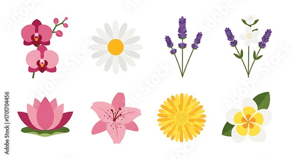 Fototapeta A collection of eight different floral illustrations, including orchids, daisies, lavender, lilies, lotus, dandelion, and plumeria, arranged in two rows against a white background.
