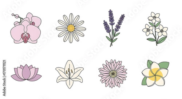Fototapeta Collection of various pastel-colored flowers and orchids, simple line art style.