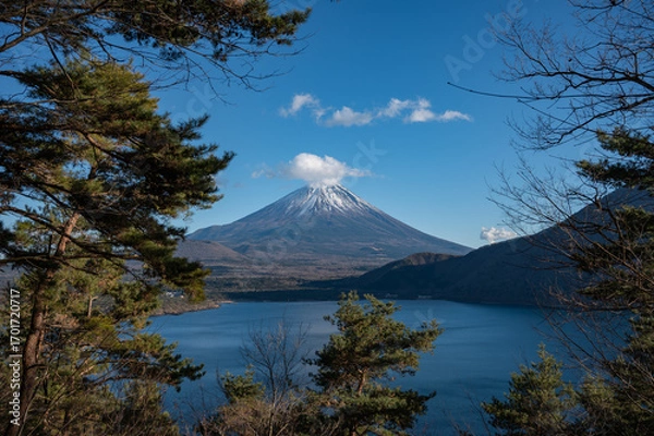 Obraz 精進湖から望む富士山