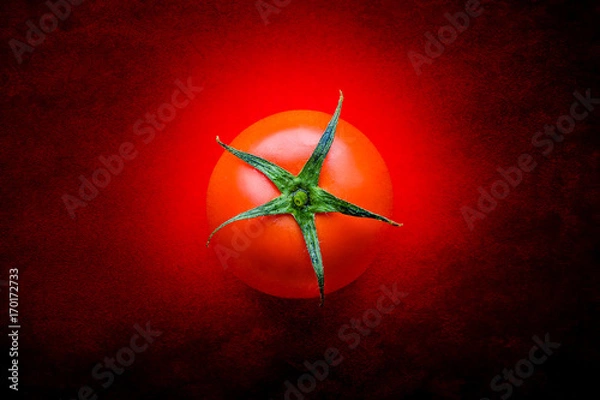 Obraz One tomato