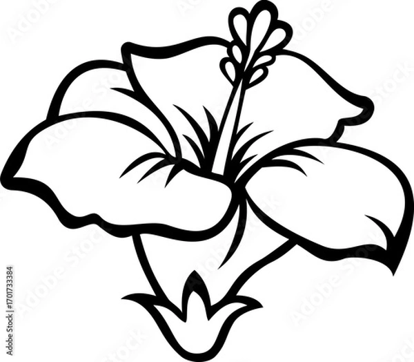 Obraz black and white hibiscus flower