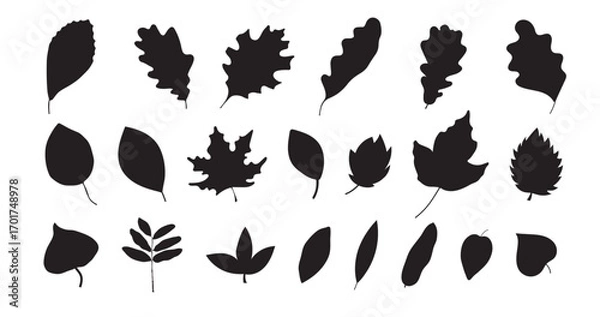 Fototapeta Autumn set of natural elements. Set of autumn branches with leaves, berries, mushrooms, nuts. Colored flat vector illustration on white background