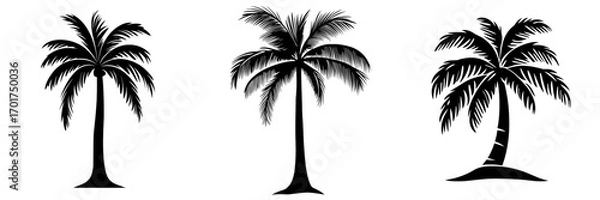 Fototapeta A simple yet elegant silhouette of a palm tree stands tall against a blank backdrop, evoking images of tropical beaches, summer holidays, and paradise