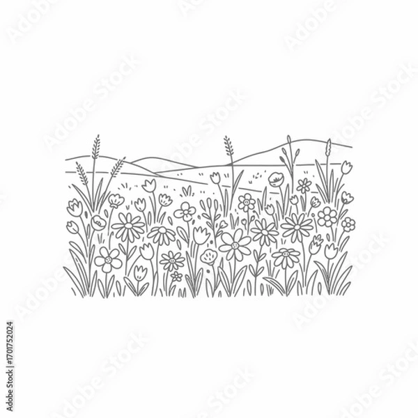 Fototapeta A simple line drawing of a field of wildflowers and grasses against a backdrop of hills.