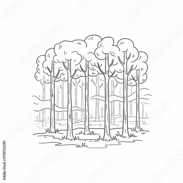 Fototapeta A simple line drawing depicts a cluster of tall trees in a forest, their slender trunks rising from a grassy clearing.