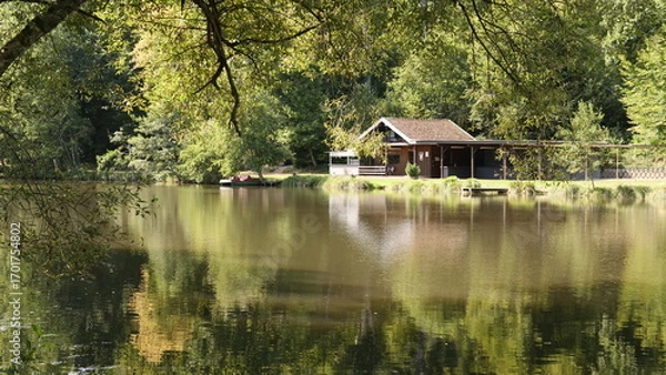 Obraz Ein kleiner Waldsee